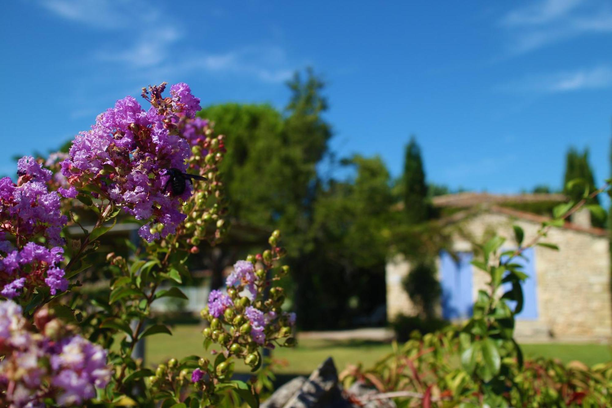 Villa Mas Orea Gordes Exterior foto